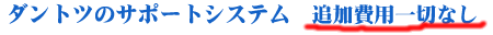�_���g�c�̃T�|�[�g�V�X�e��