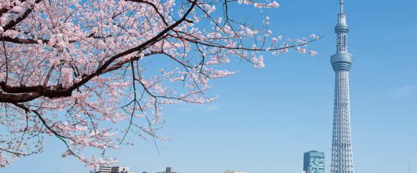 電気工事でインサートやアンカーを使うときの注意点は？