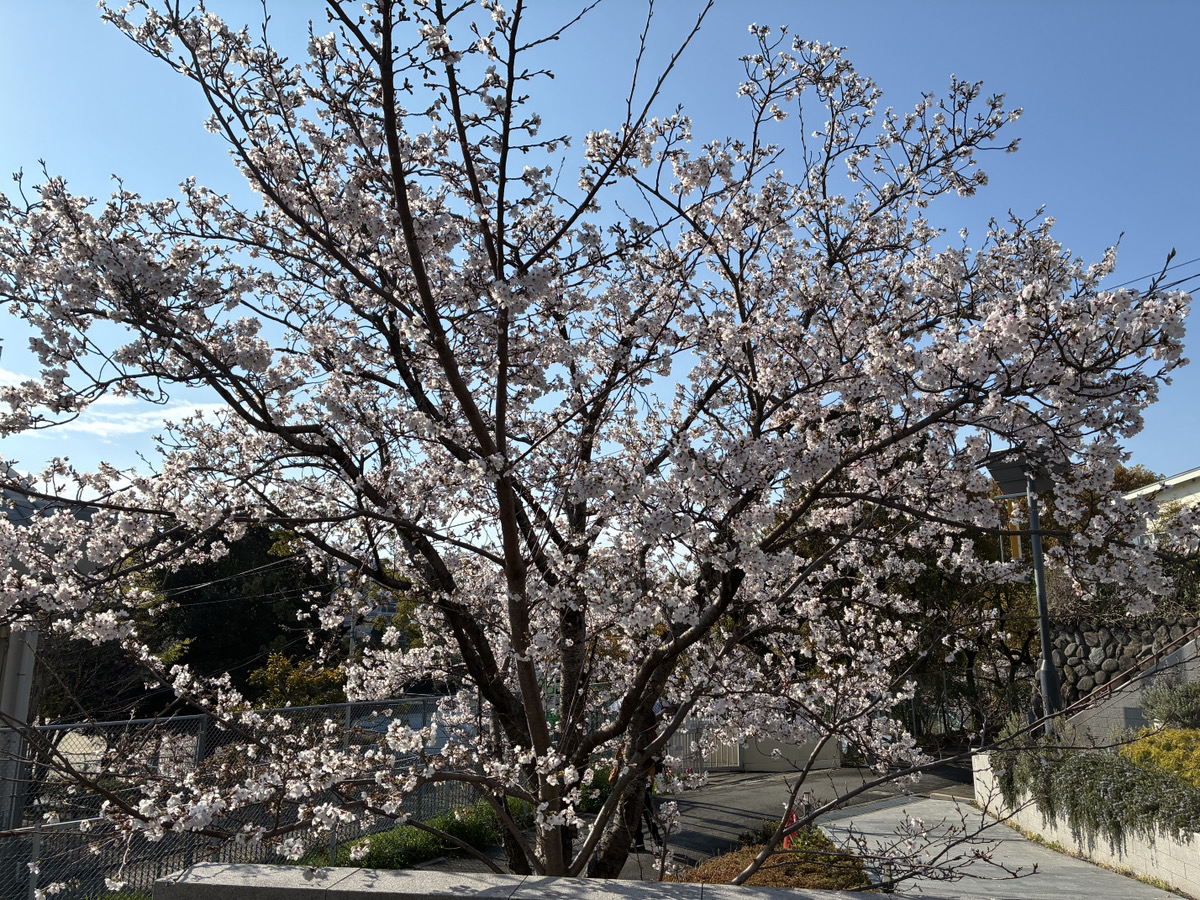 📢「28期スタート。“Hero Makers”としての挑戦」