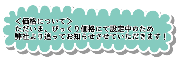 価格について